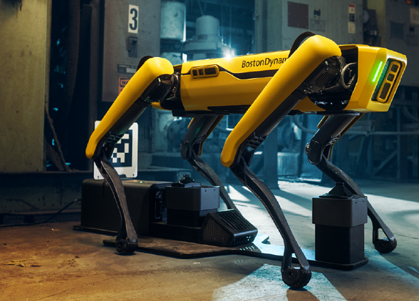 buy spot intuitive robot